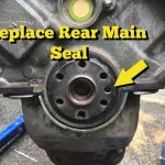 Engine Rear Main Seal
